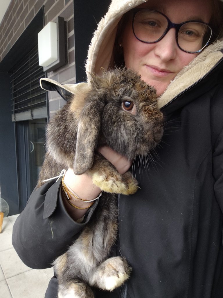 Pension - Balade - Visite à domicile - Home sitting - pets paradise - Danaé - Genève