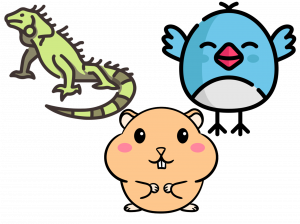 NAC – pet sitter Genève – Pets Paradise NAC - pet sitter Genève - Pets Paradise